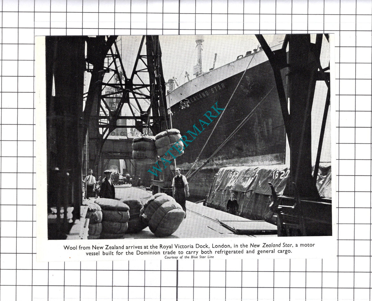 NEW ZEALAND STAR Ship  Royal Victoria Docks London - 1948 Clipping