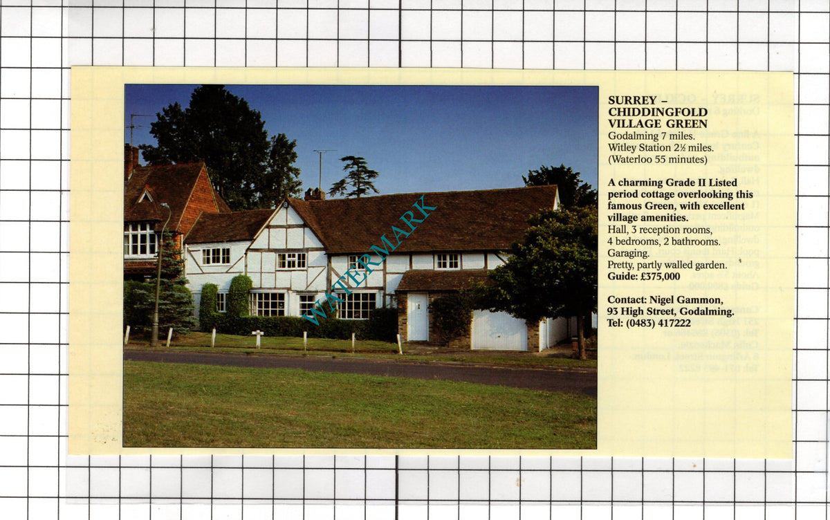 Chiddingfold Surrey Village Green /  Ockley Surrey  - 1994 House Sale Advert