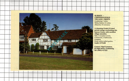 Chiddingfold Surrey Village Green /  Ockley Surrey  - 1994 House Sale Advert