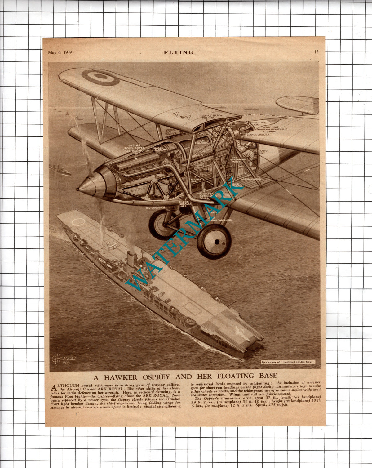 Hawker Osprey Plane Diagram  Ark Royal  - 1939 Cutting
