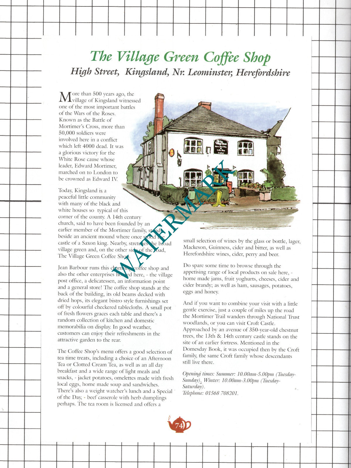 Village Green Coffee Kingsland / Erwood Station Llandeilo Graban -c.2001 Advert