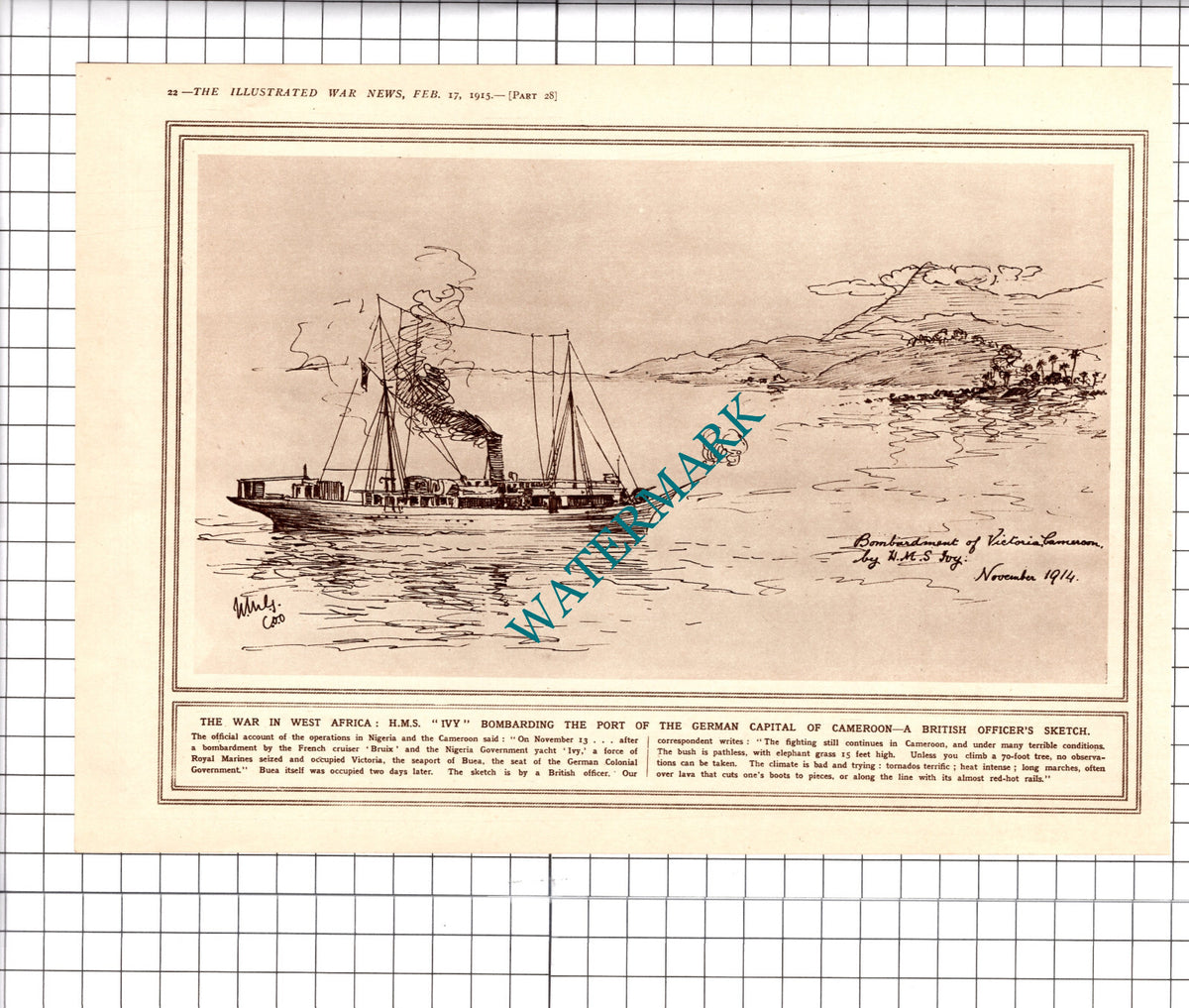 HMS IVY Ship West Africa Victoria Cameroon WW1 -1915 Clipping / Print