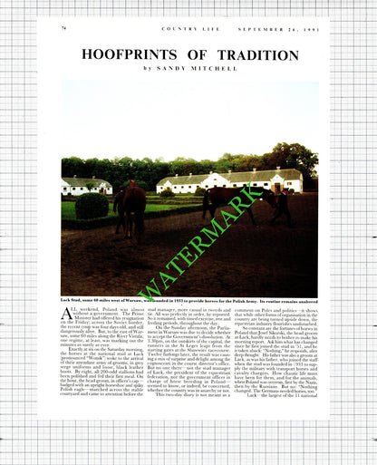 Lack Stud Poland - 1991 Article