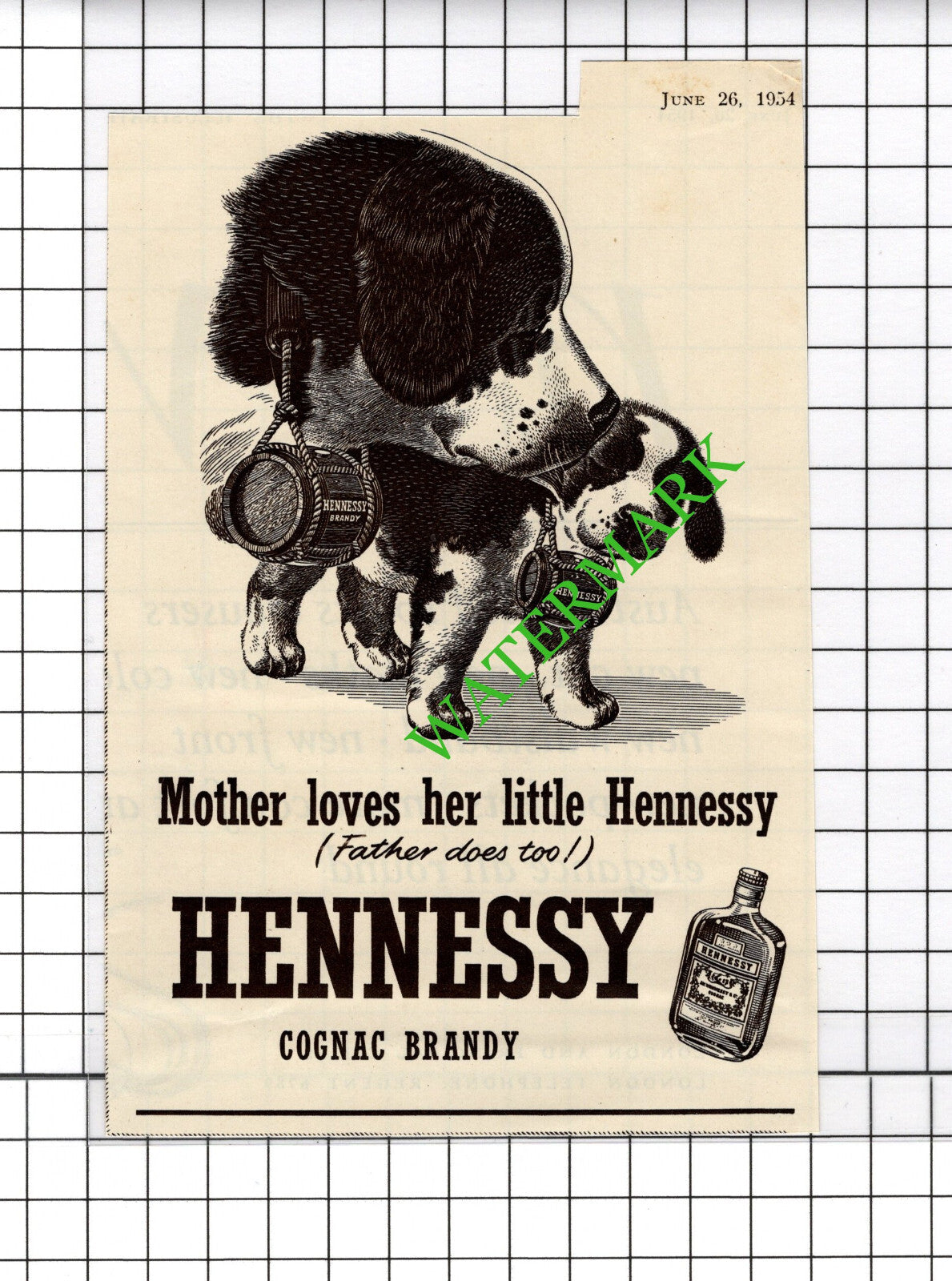 Hennessy Brandy St Bernard Dog Small Advert  -  1954 Cutting