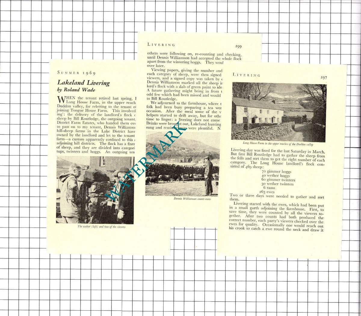 Dennis Williamson Tongue House Farm Duddon Cumbria  - 1969 Article/ Print