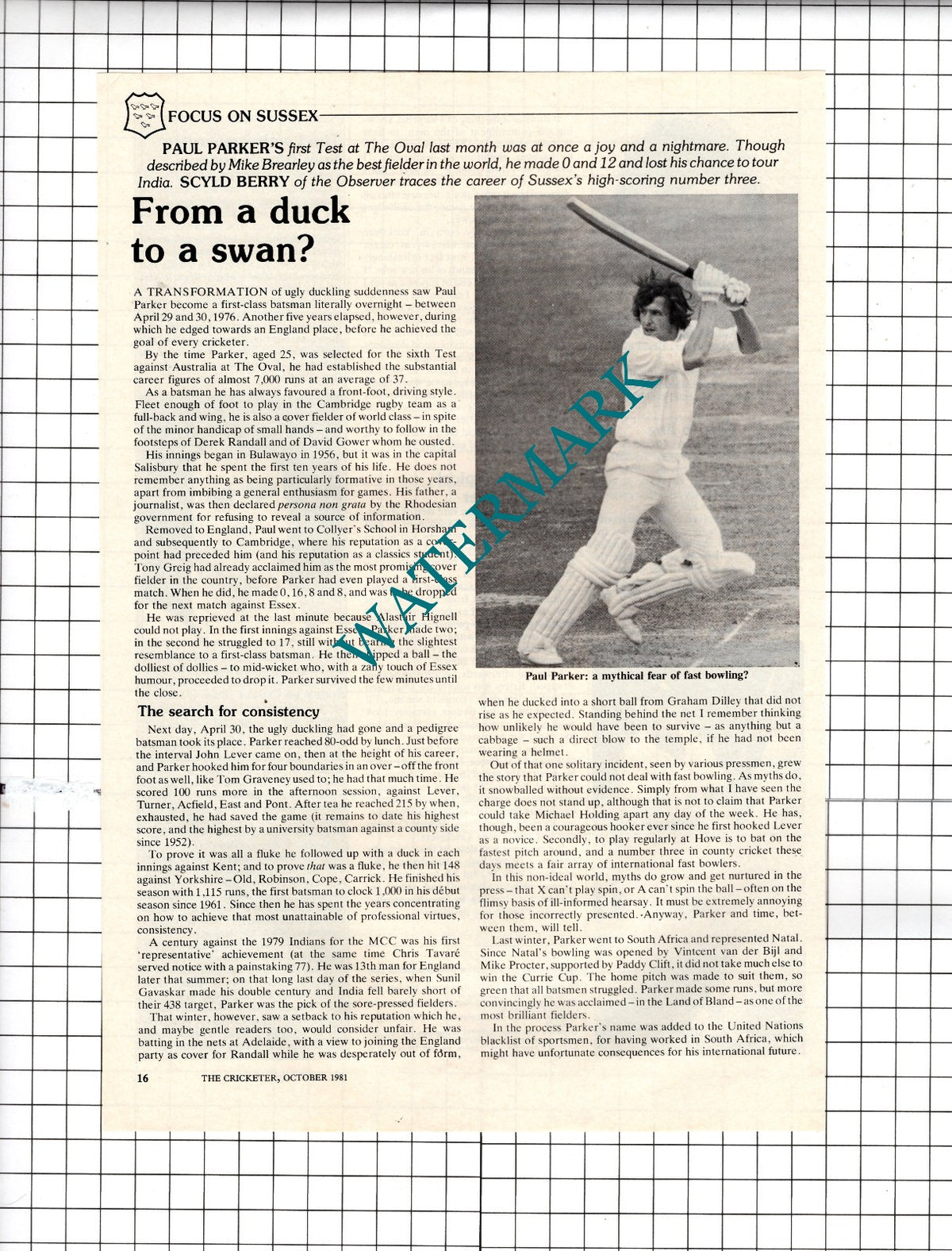 Paul Parker Cricketer Cricket  - 1981 Article