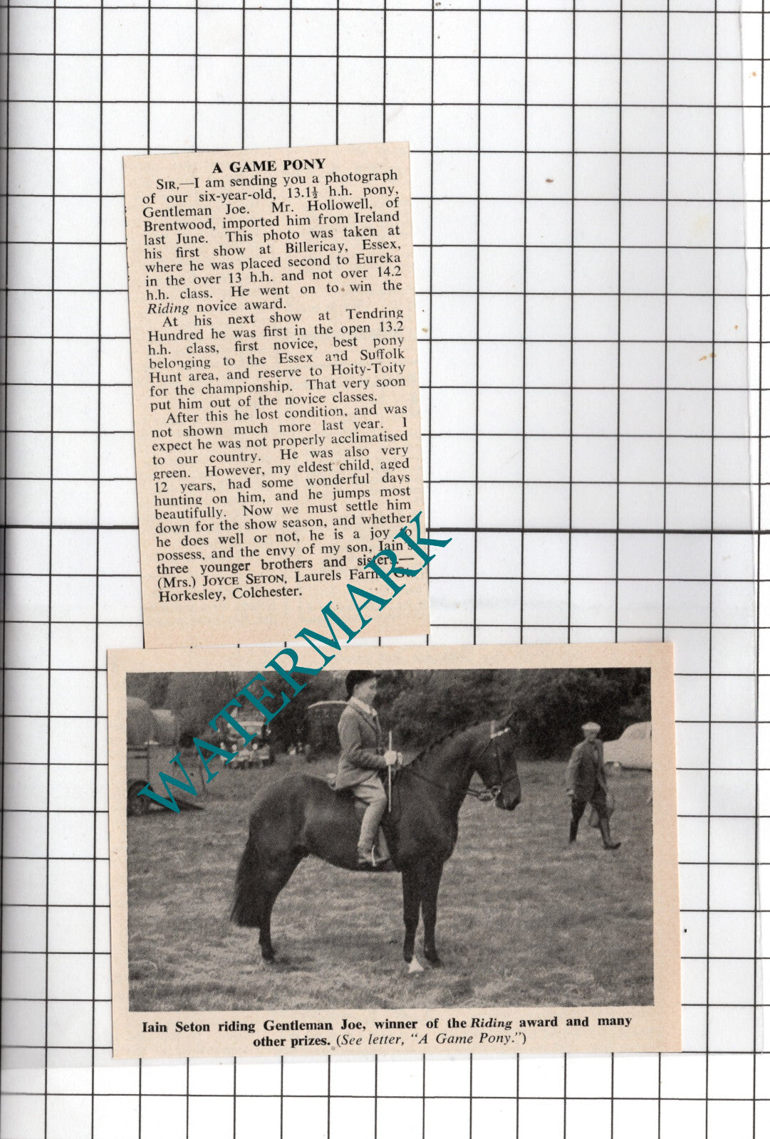 Iain Seton Laurel's Farm Great Horkesley GENTLEMAN JOE   - 1955 2-Part Clipping
