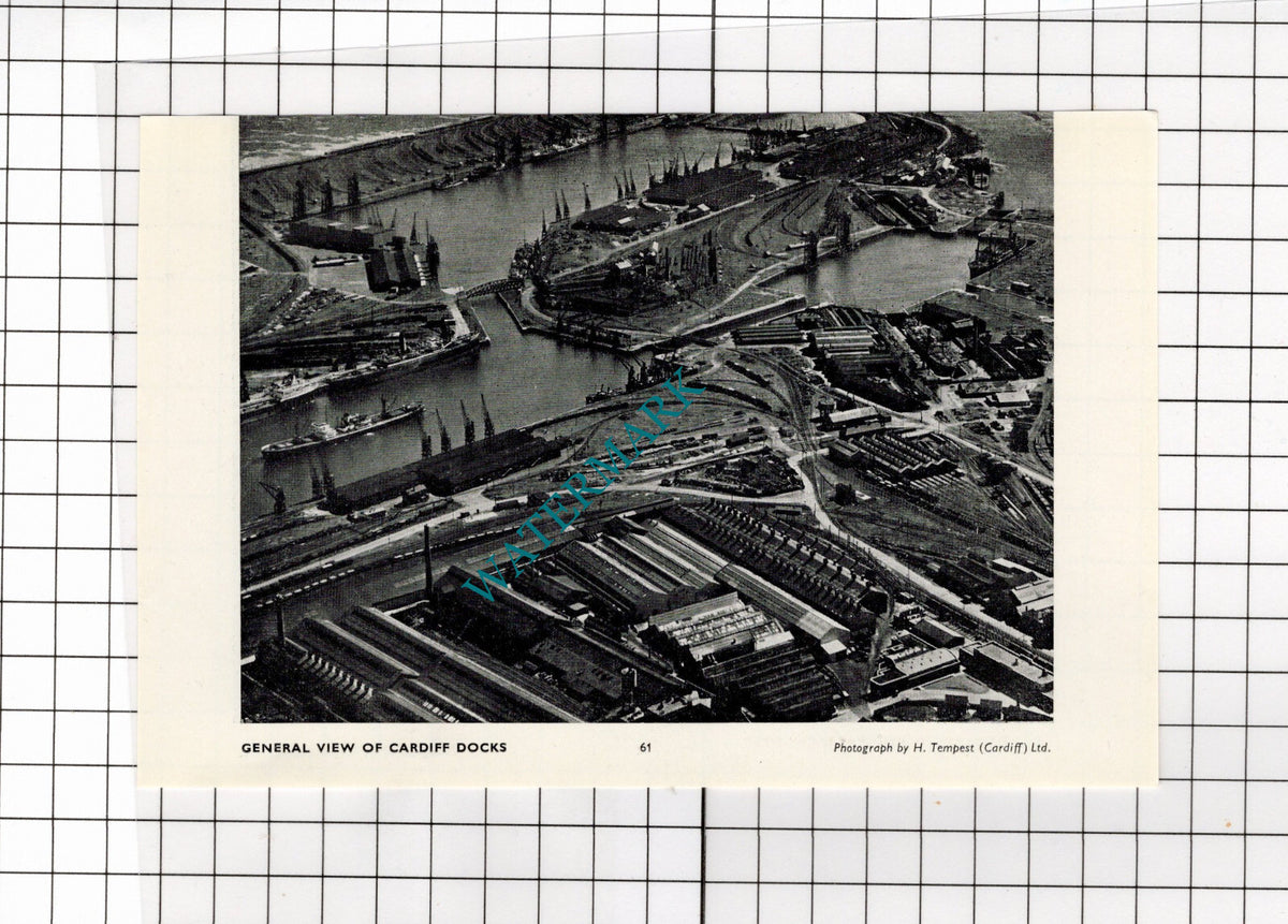Cardiff Docks / Churchill Way Cardiff Wales - 1958 Small Cutting / Print