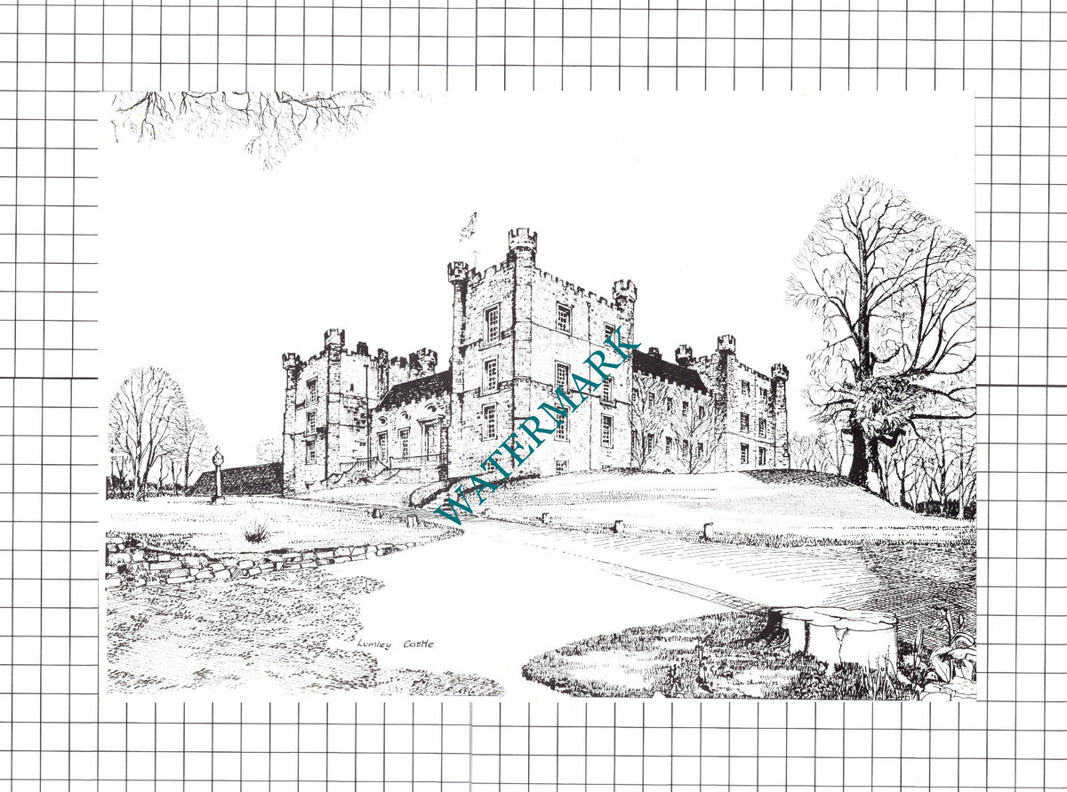 Lumley Castle  / Bamburgh Castle  - c.1980's Book Print