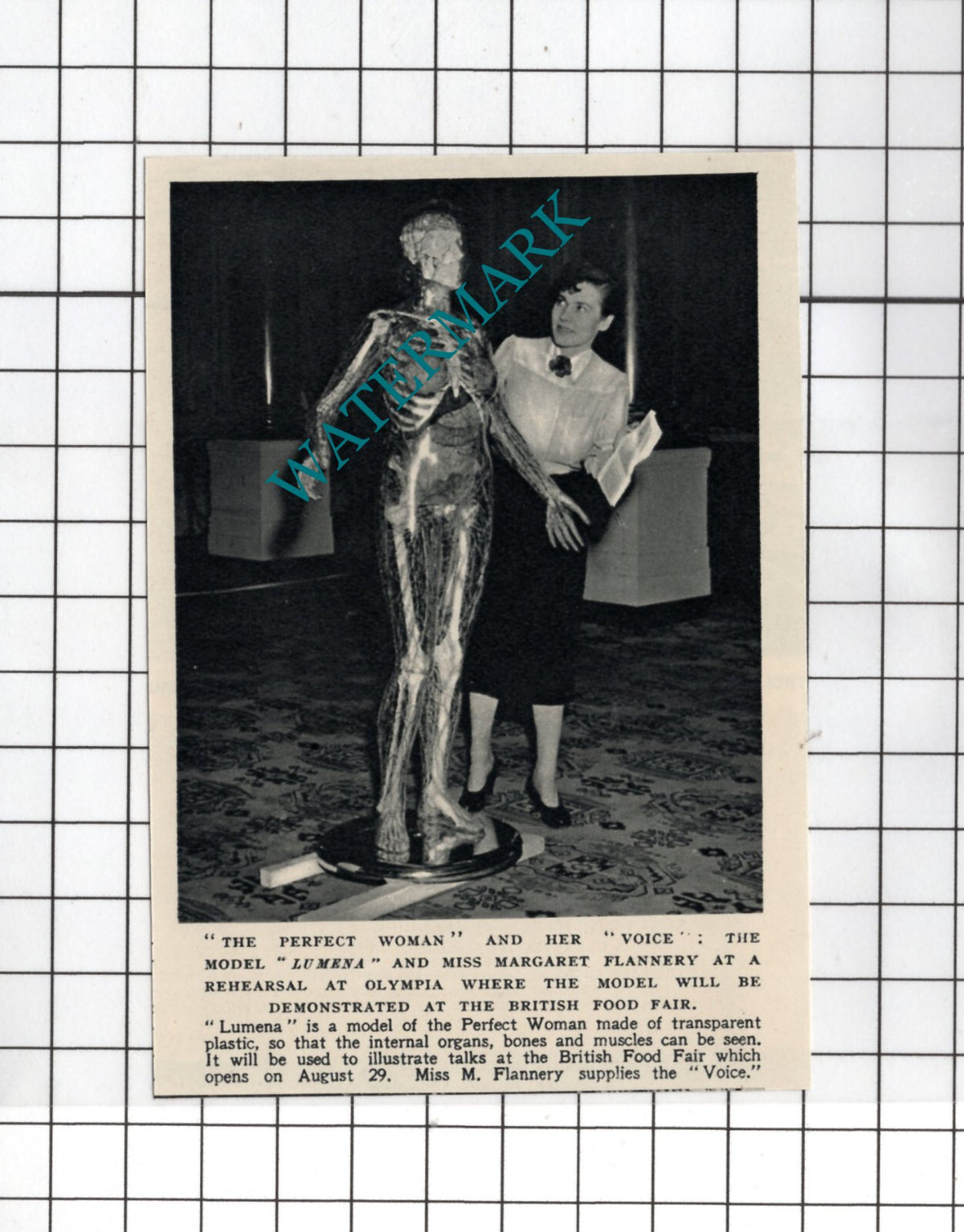 Miss Margaret Flannery  Lumena Model  British Food Fair -  1950 SMALL Cutting