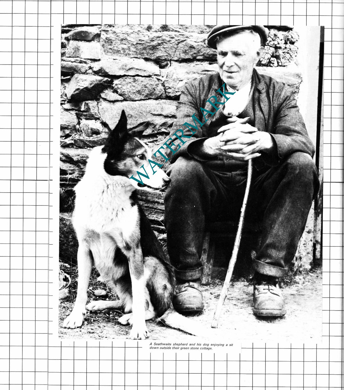 Seathwaite Cumbria Shepherd - 1976 Cutting / Print