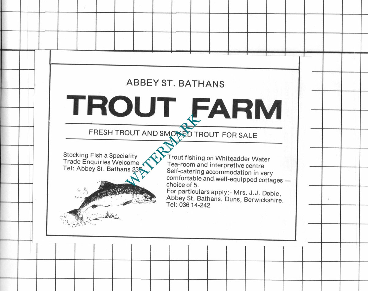 Abbey St Bathans Trout Farm Mrs J Dobie Small Advert  - c.1984 Clipping / Print