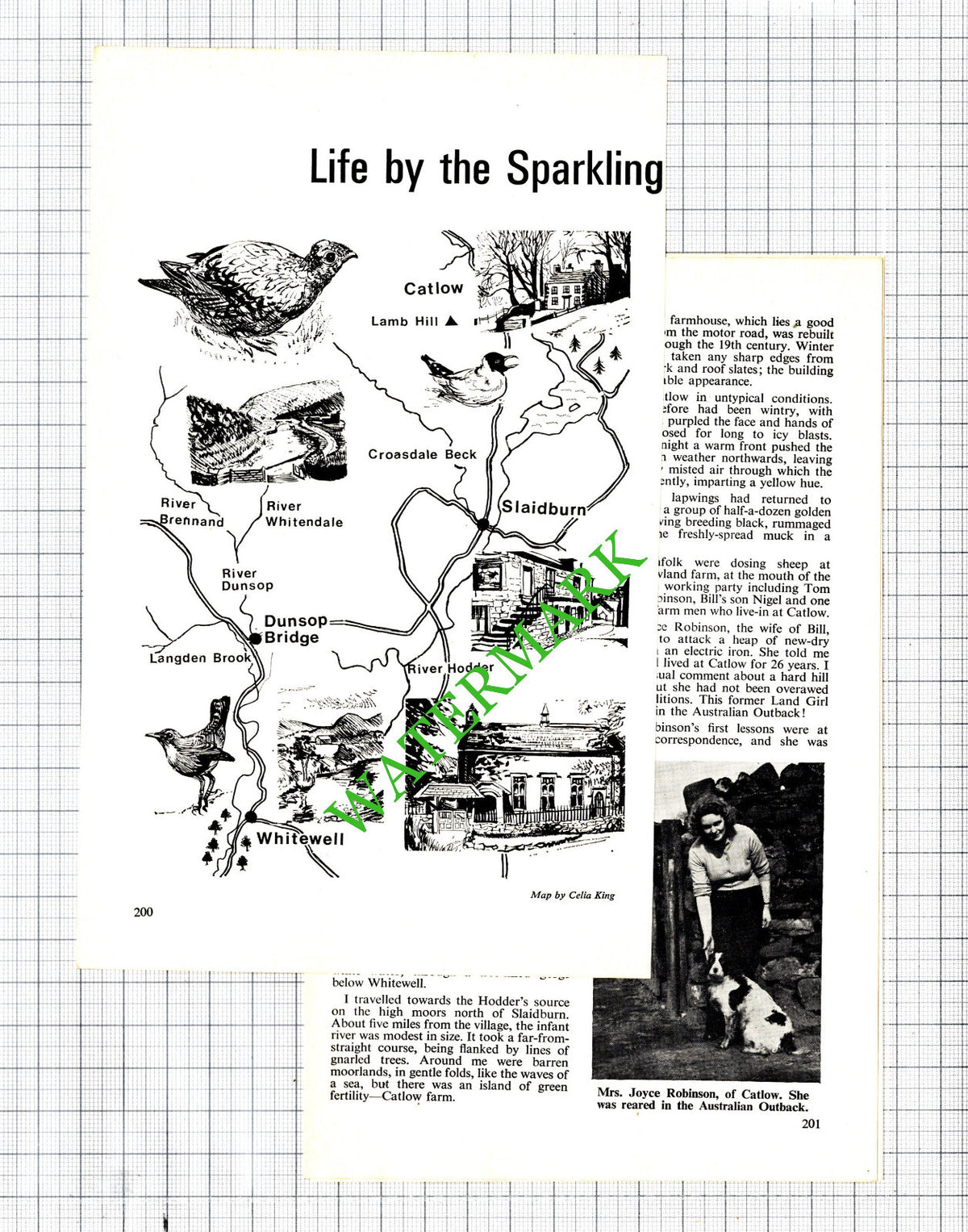 Catlow Bowland Bill Joyce Robinson Richard Tedstone - 1972 Article