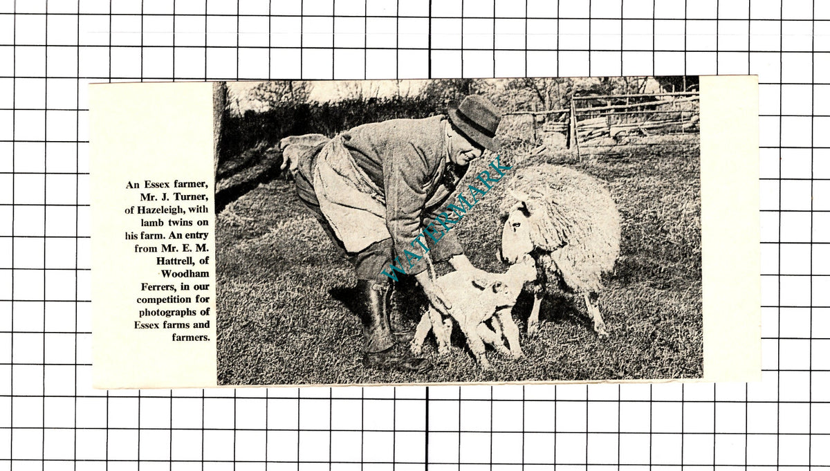 Mr J Turner Hazeleigh Essex Farmer -   1968 Clipping / Print