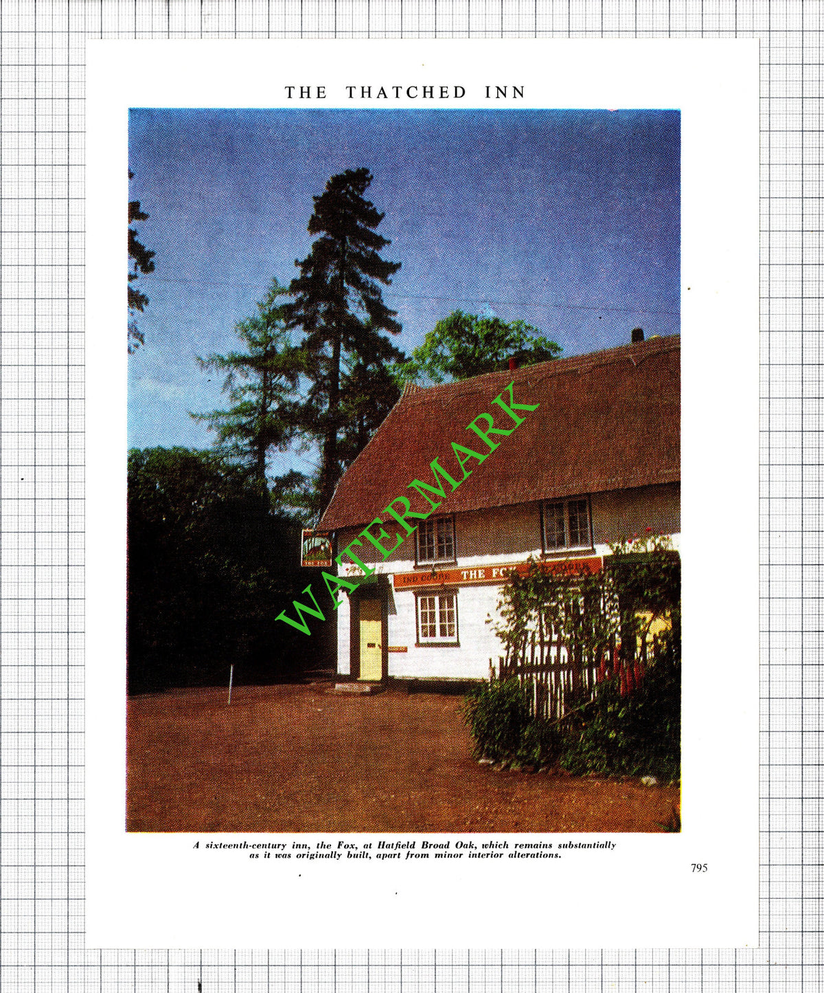 The Fox Inn Hatfield Broad Oak Essex   - 1965 Cutting