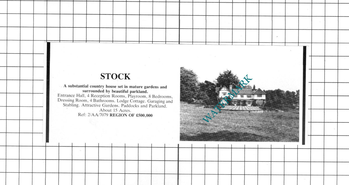 Stock Essex House Sale Advert - 1986 Clipping