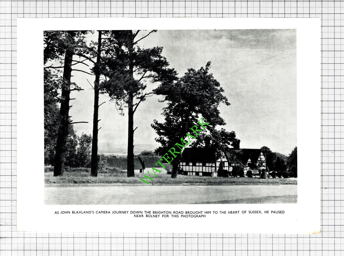 Bolney Sussex  -  1955 Cutting