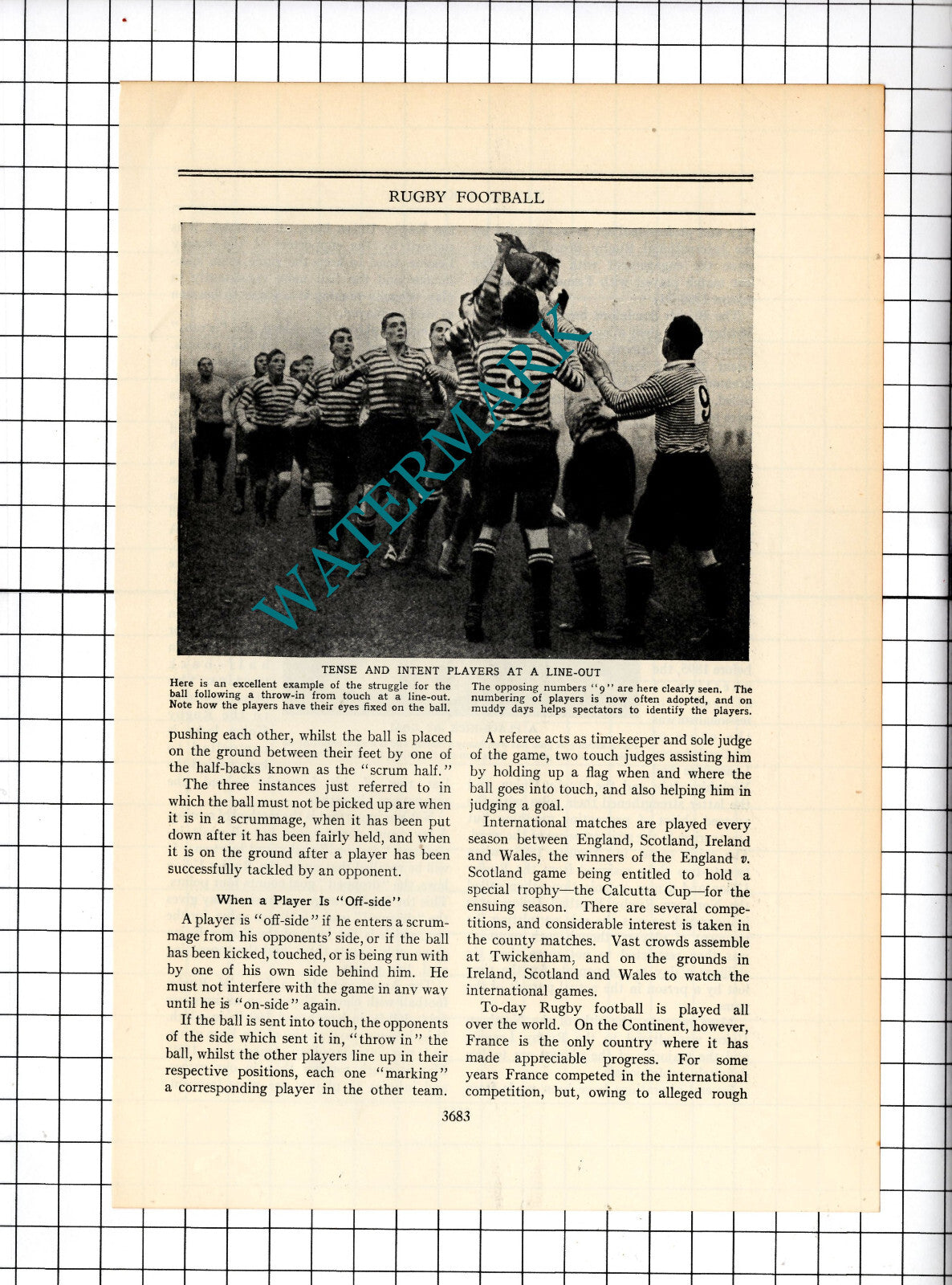 Rugby Sport - c.1930's Article