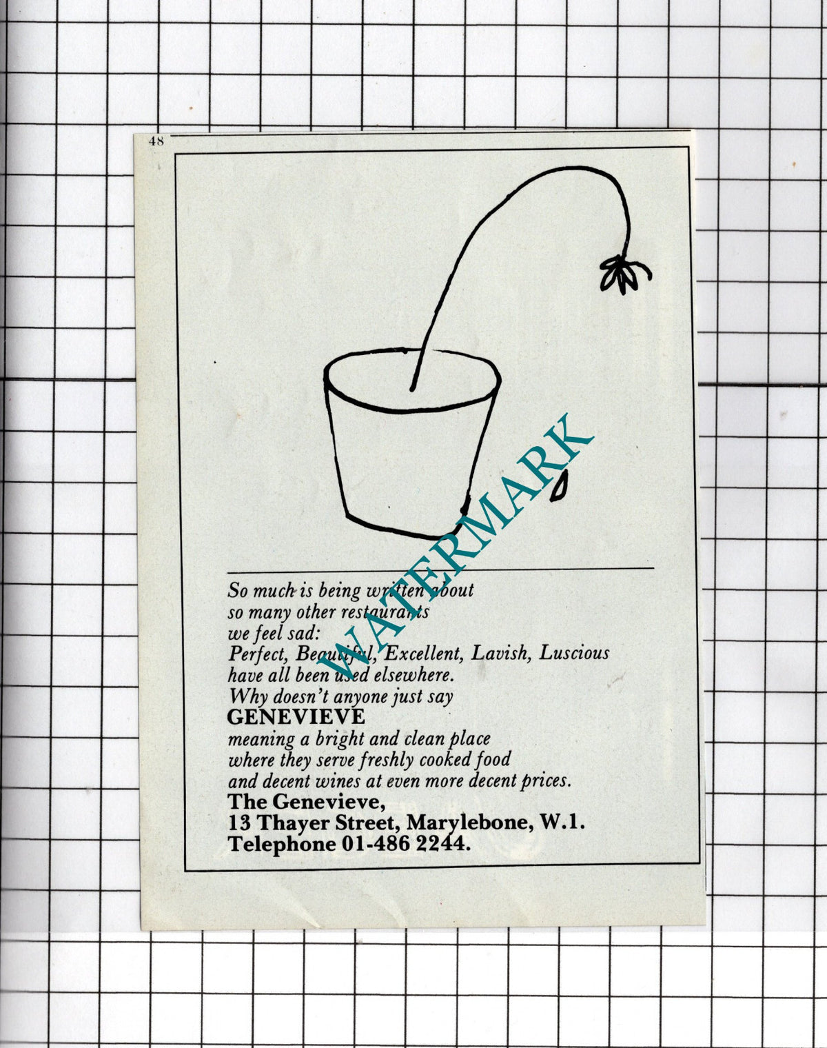 The Genevieve Restaurant Marylebone London W1  Advert - 1980 Cutting