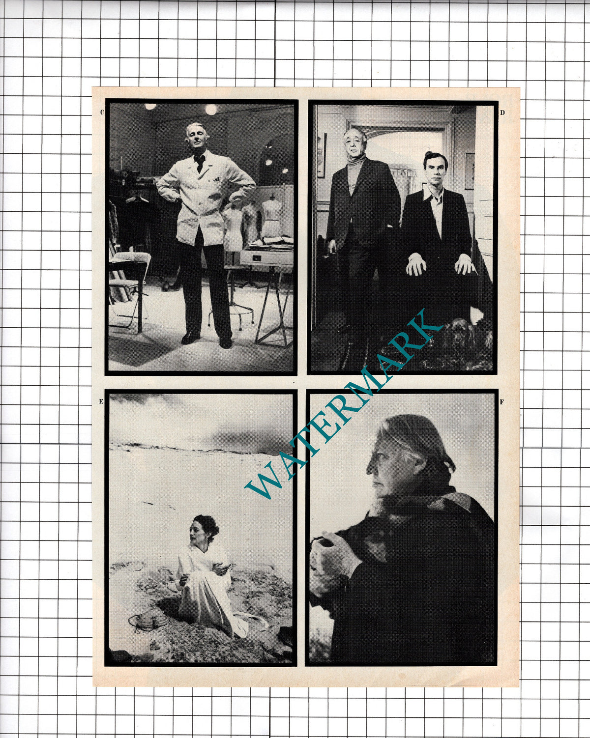 June Newton Photographer Alice Springs  - 1980 Article / Print