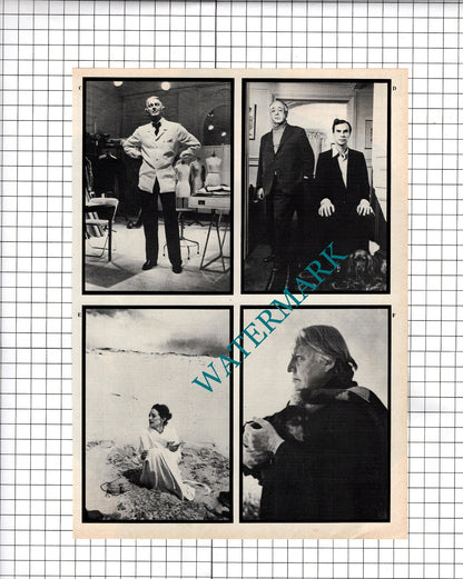 June Newton Photographer Alice Springs  - 1980 Article / Print