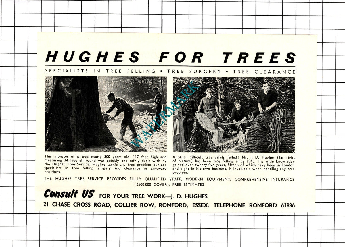 J D Hughes Tree Service Romford Essex Advert  -   1968 Clipping / Print