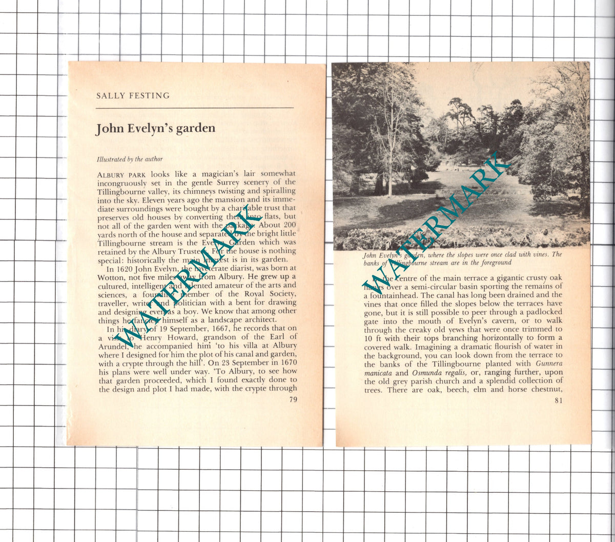 Albury Park John Evelyn Diarist - 1976 Small Article / Print