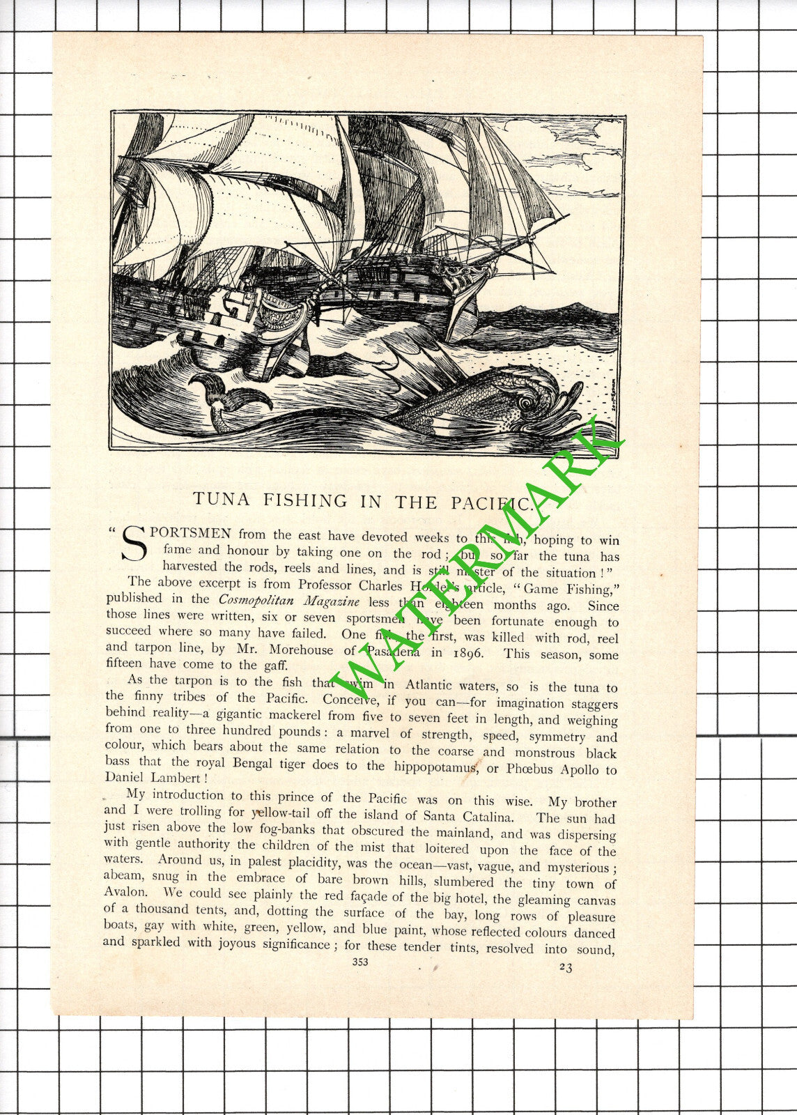 Horace Annesley Vachell Greer Campbell James Gardner Tuna Fishing - 1898 Article