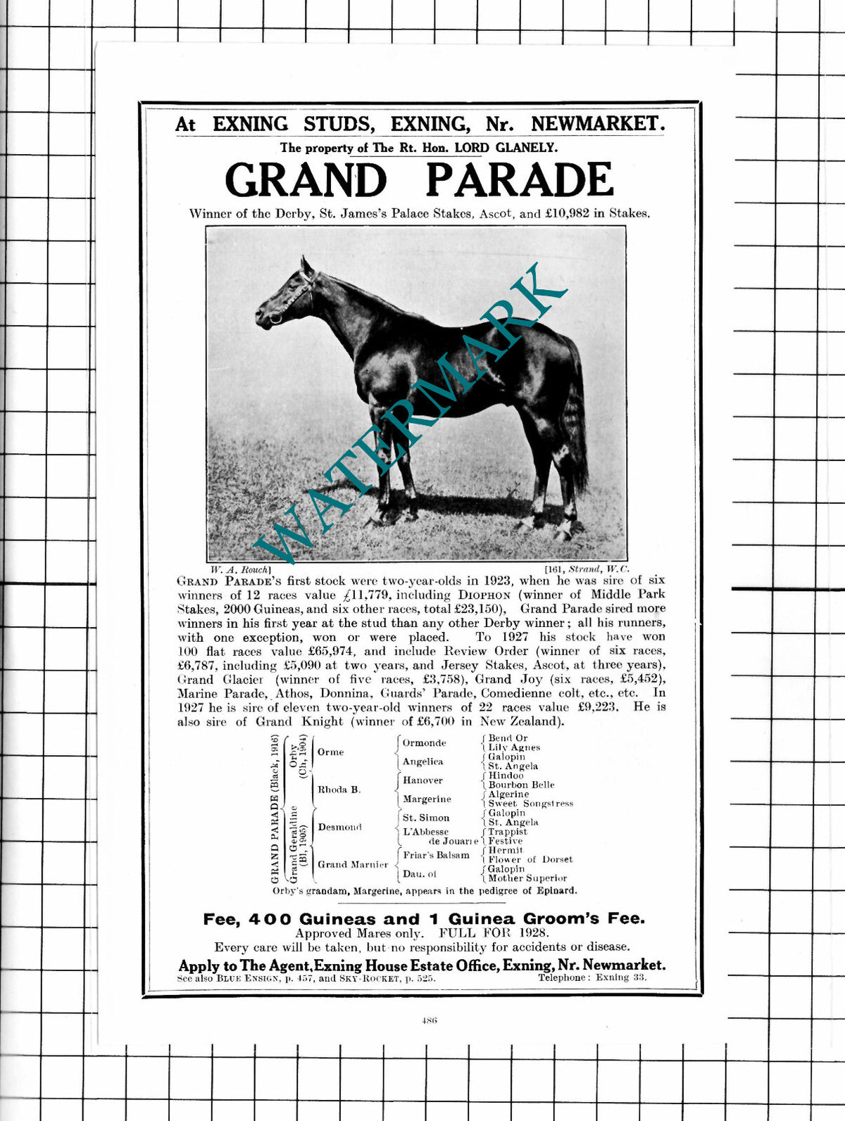 Lord Glanely Grand Parade Horse  Racehorse  Exning Studs - 1927 Advert