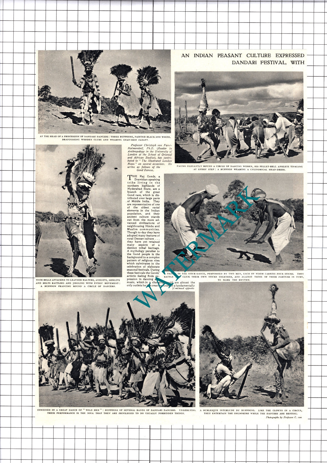 The Raj Gonds Dandari Professor Christoph von Furer-Haimendorf - 1950 Article