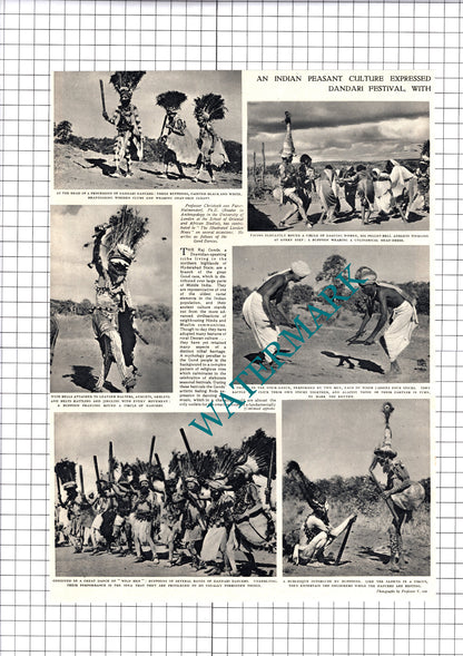 The Raj Gonds Dandari Professor Christoph von Furer-Haimendorf - 1950 Article