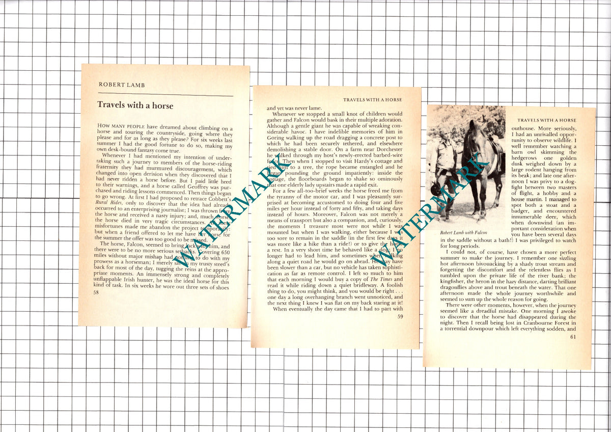 Robert Lamb Horse Rider - 1976 Small Article / Print