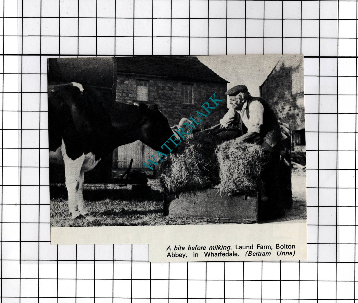 Laund Farm Bolton Abbey Yorkshire  - 1976 Small Cutting