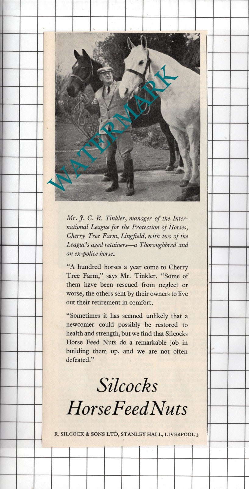 Mr JCR Tinkler Cherry Tree Farm Lingfield Horses Silcocks Advert - 1965