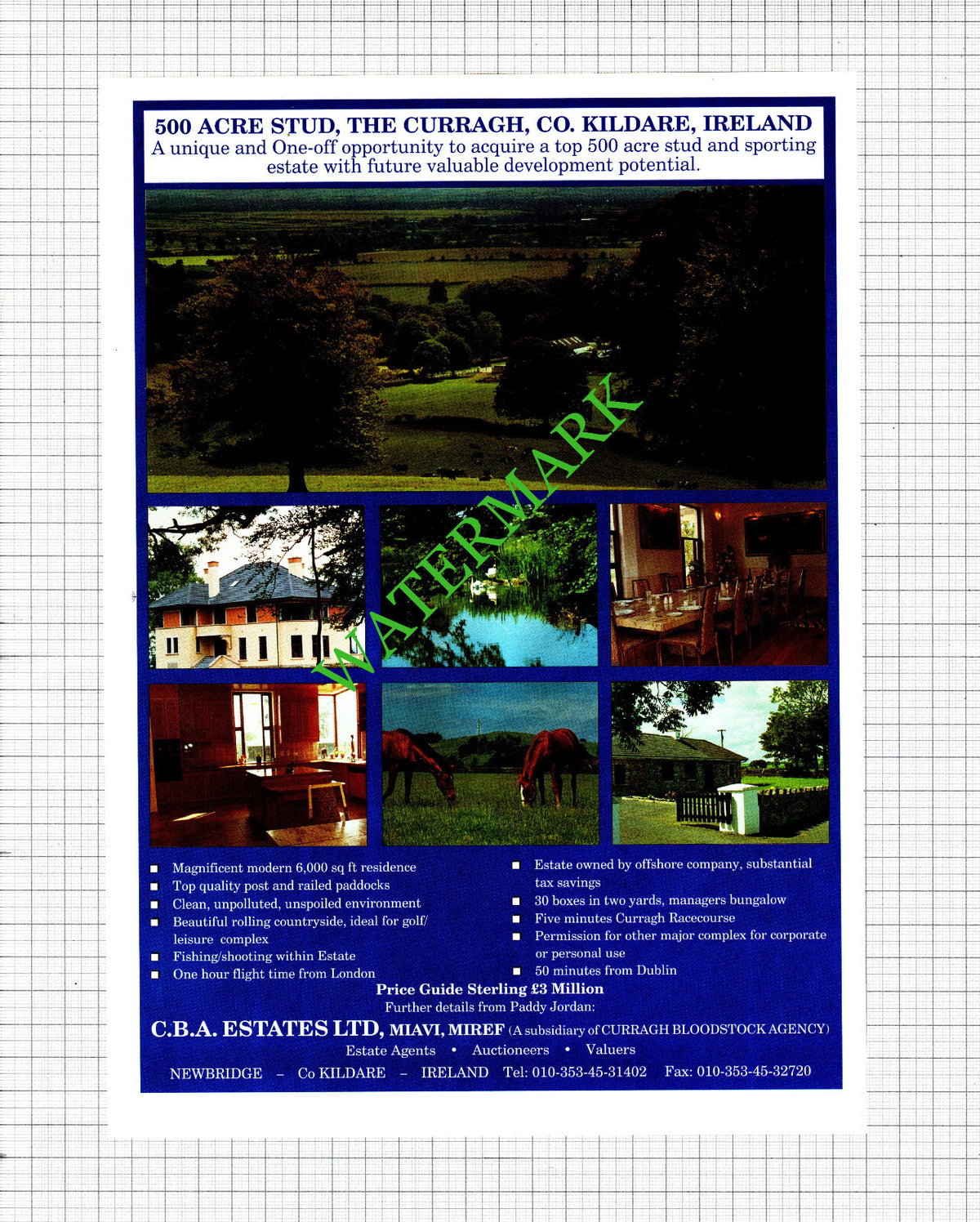 Curragh Co Kildare Ireland Stud / Elizabeth Court Chelsea London - 1991 Cutting