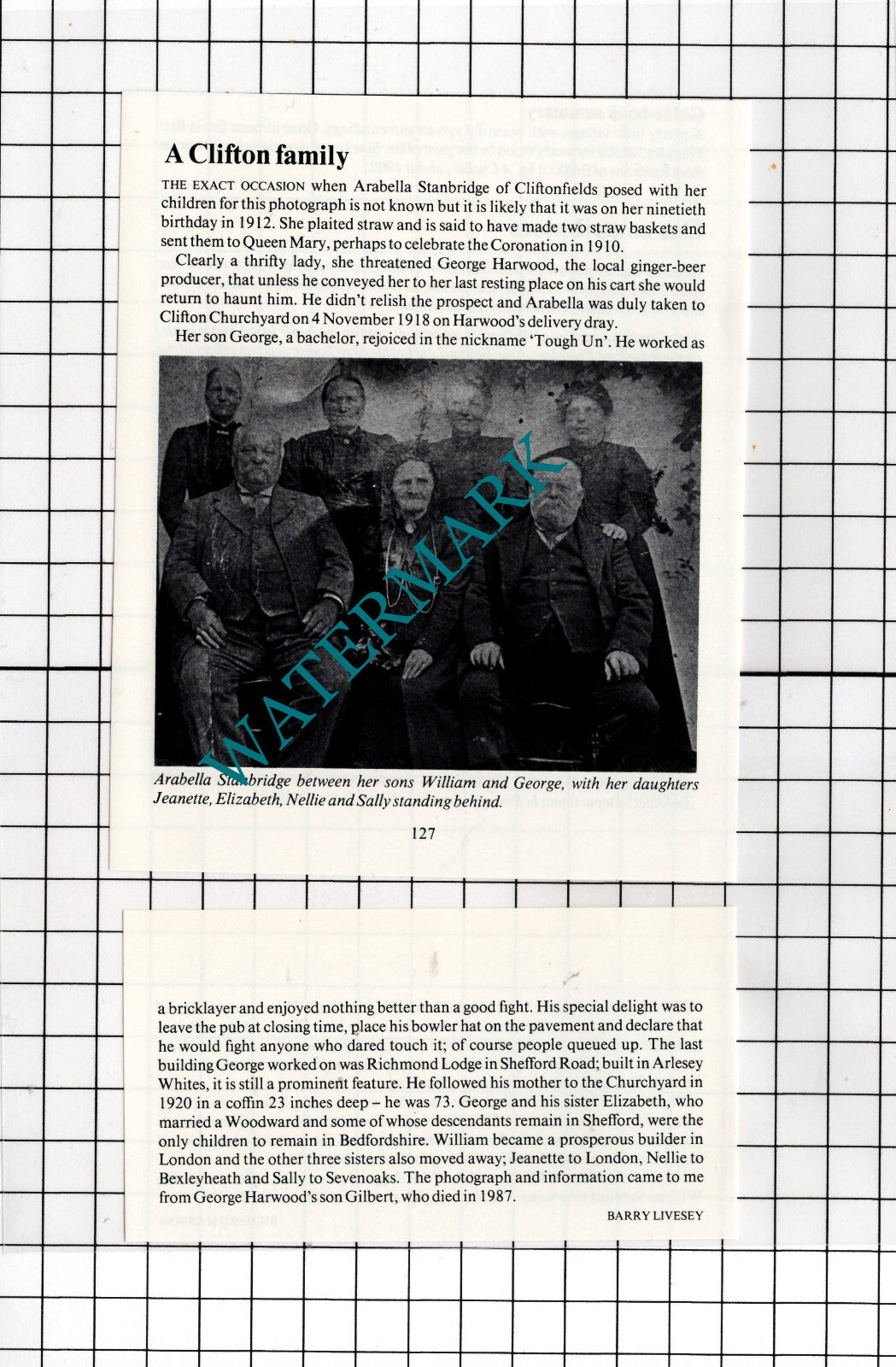 Arabella Stanbridge Cliftonfields Clifton Bedfordshire - 1989 Two-Part Cutting