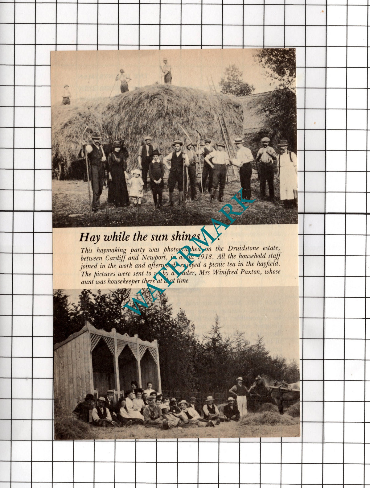 Druidstone Estate Workers   - 1977 Small Cutting