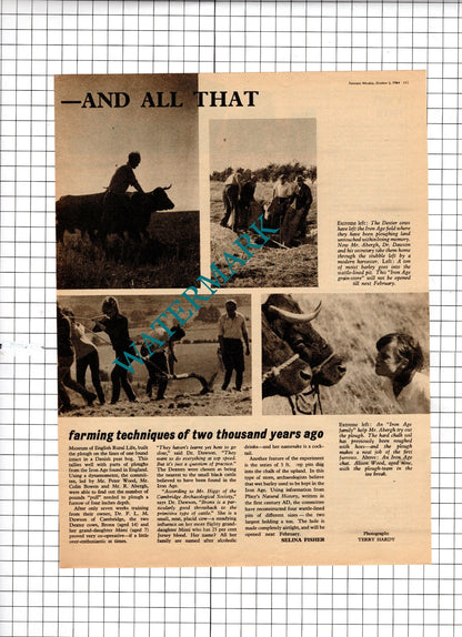 Stoke Farm Broadchalke Hampshire Thomas Abergh Colin Bowen  1964 2-Part Clipping