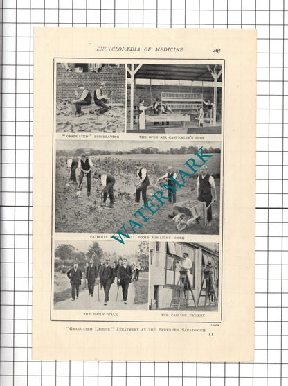 The National Sanatorium  Benenden Kent - c.1914 Cutting