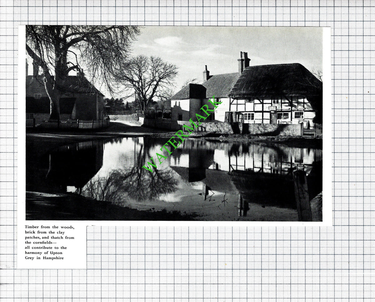Upton Grey Hampshire  - 1956 Cutting
