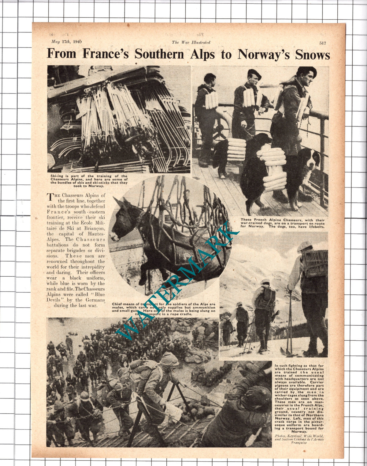 The Chasseurs Alpins French Alpine Chasseurs Norway WW2 - 1940 Clipping / Print