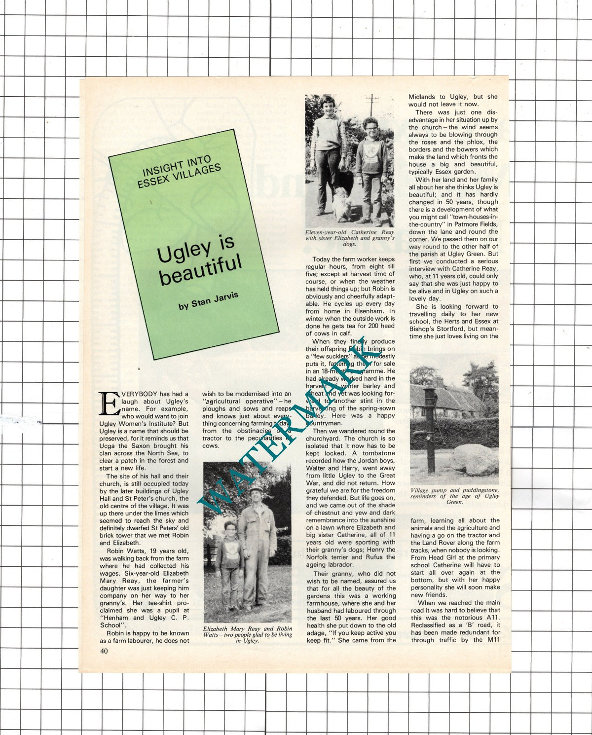 Ugley Essex Elizabeth Reay Robin Watts Bill Brown John Bradman - 1984 Article