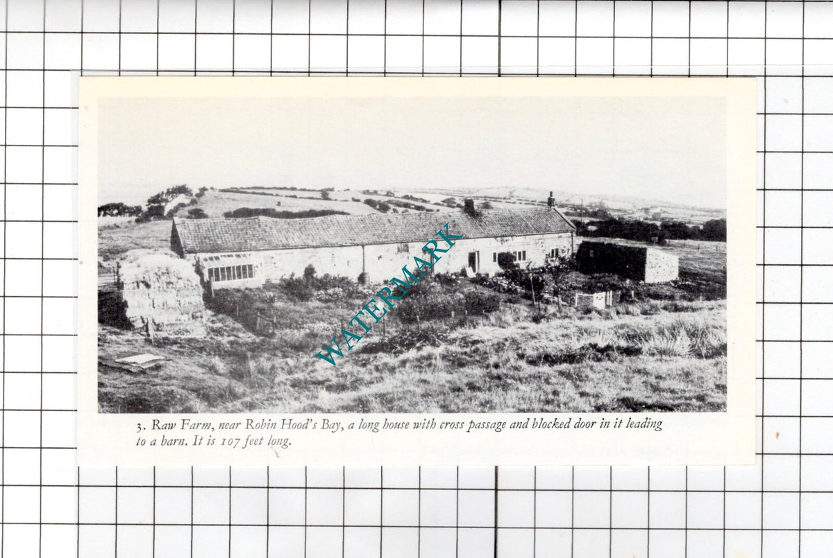Raw Farm Robin's Hood Bay Yorkshire   -  Small  Clipping