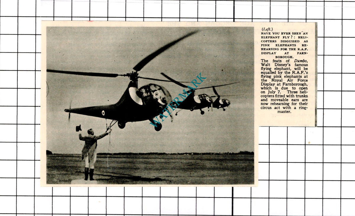 RAF Helicopters Farnborough Flying Pink Elephants  -1950 Clipping