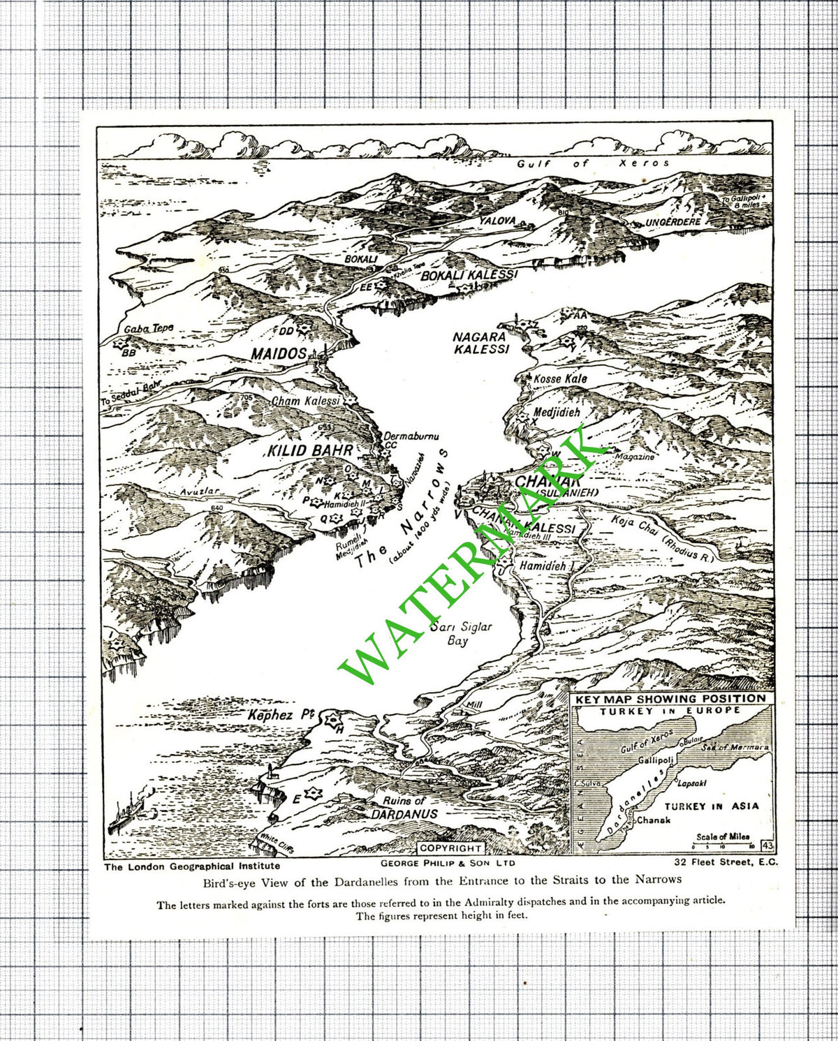 The Dardanelles Great War WW1  - c.1920   Cutting