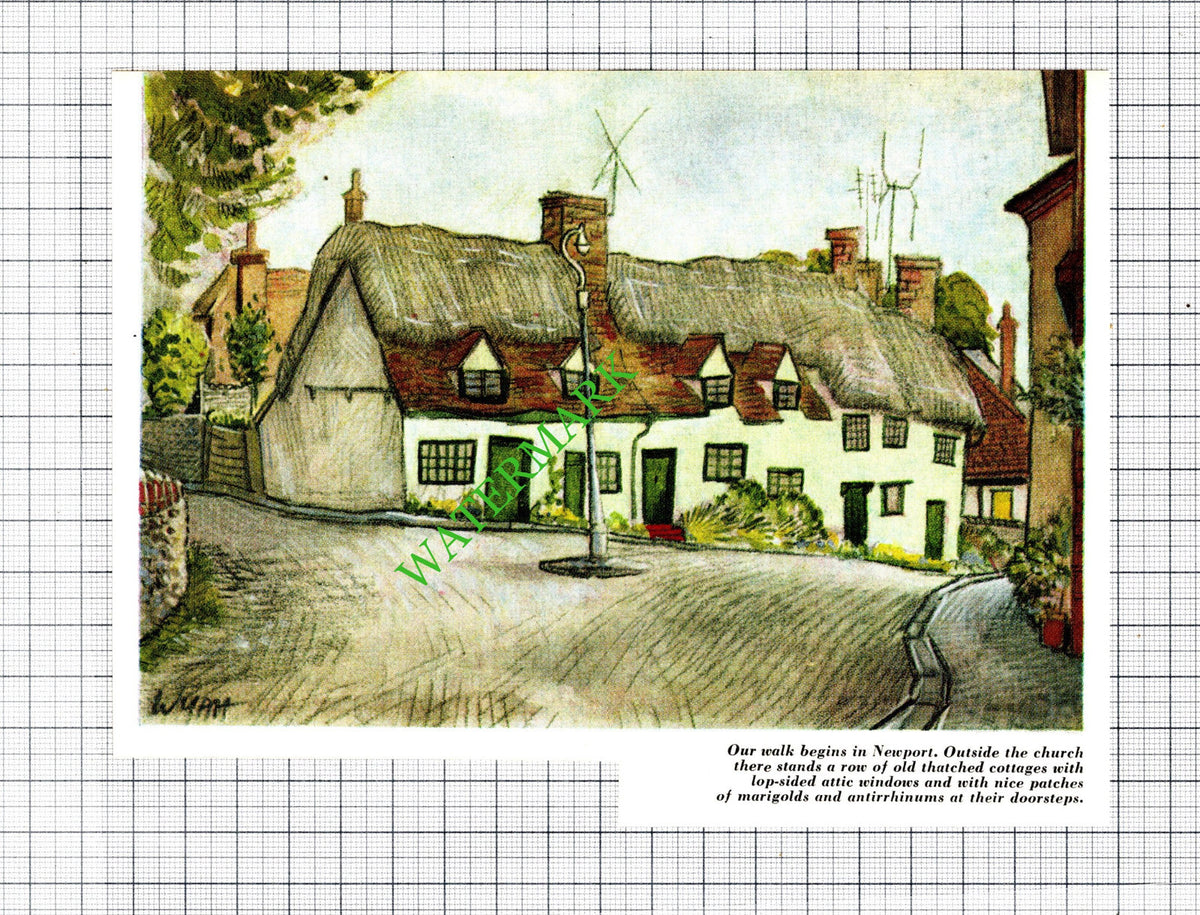 Newport Essex Thatched Cottages - 1965 Cutting