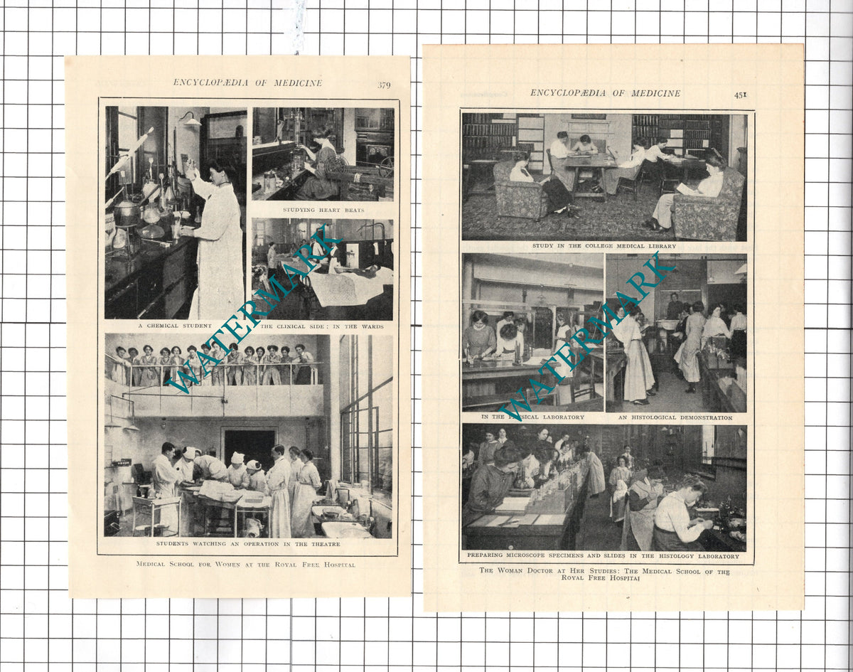 Royal Free Hospital London Medical School For Women - c.1914 Two-Part Cutting
