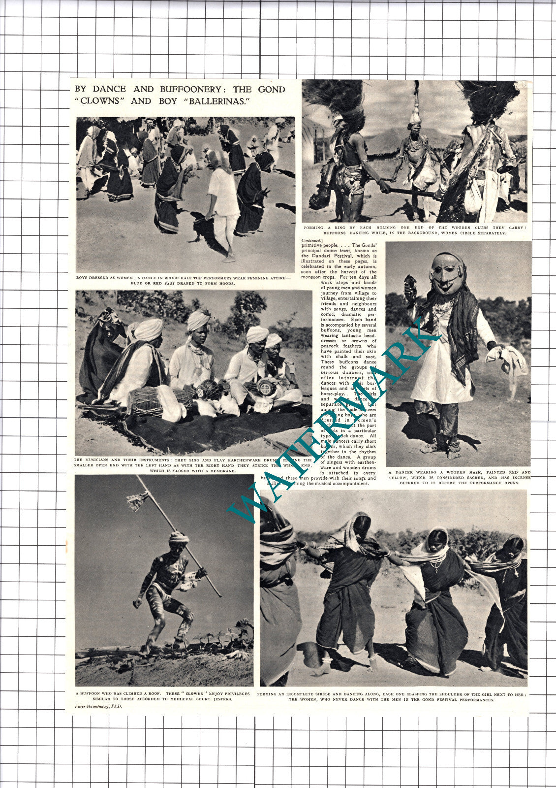 The Raj Gonds Dandari Professor Christoph von Furer-Haimendorf - 1950 Article