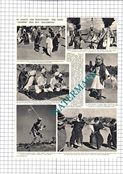 The Raj Gonds Dandari Professor Christoph von Furer-Haimendorf - 1950 Article