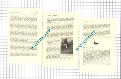Loch Leven Scotland Bruce Campbell Peter Maitland - 1969 Article / Print
